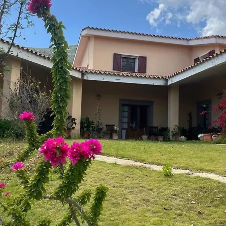 La Quercia Poggio dei Pini